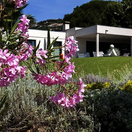 Californie Bed & Breakfast 4*