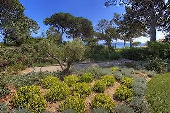 Californie Sainte-Maxime