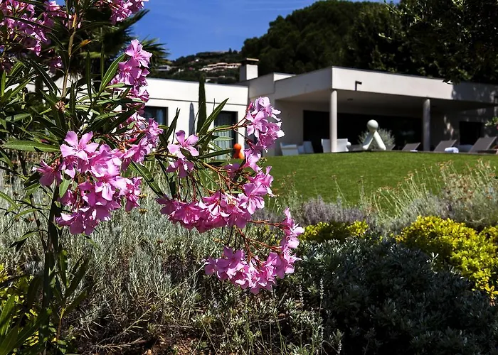 Californie Bed & Breakfast 4*