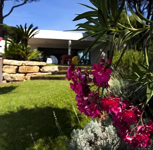 Californie Сент-Максім